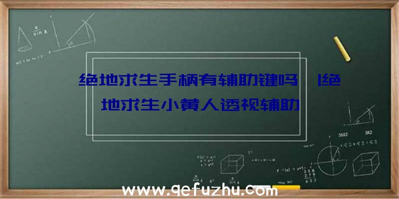 「绝地求生手柄有辅助键吗」|绝地求生小黄人透视辅助